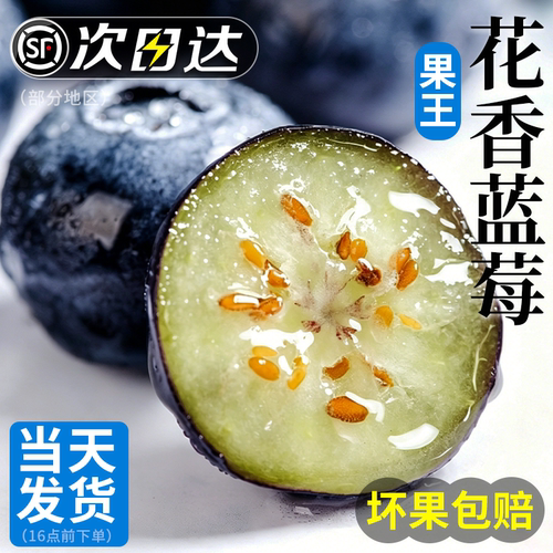 甜！山东花香蓝莓脆甜顺丰包邮