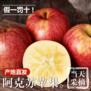 正宗阿克苏冰糖心苹果新鲜水果甜蜜脆嫩9斤装 果整箱5 产地直发当季