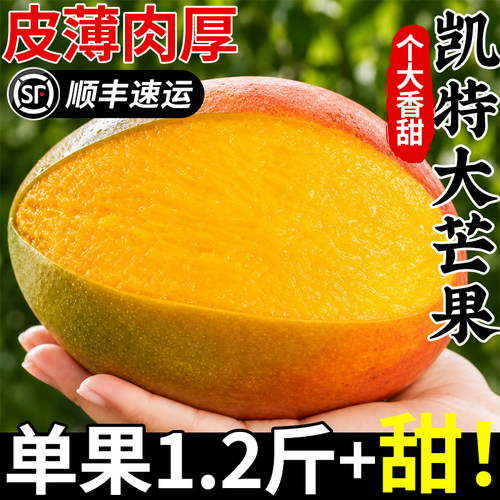 【包邮实惠】凯特大芒果新鲜9斤