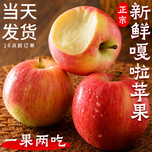 正宗新鲜嘎啦苹果现摘现发！