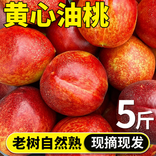 新鲜油桃脆甜多汁产地直发