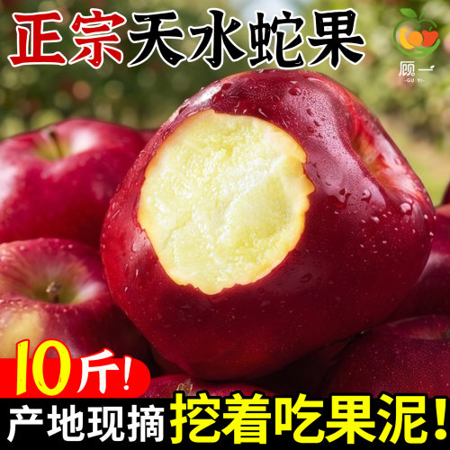 【高品质】甘肃天水蛇果刮泥好吃