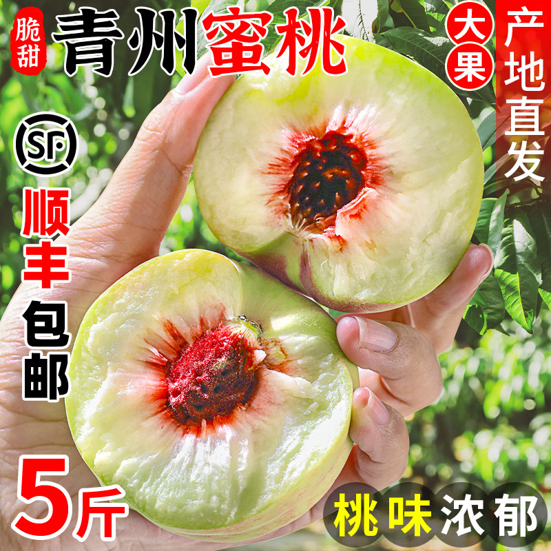 �����������Ҵ�����������ˮ��������ժ����ɽ��Ϋ���ز���ѩ���� 3�� �Ի�ר�� | ÿ��5������