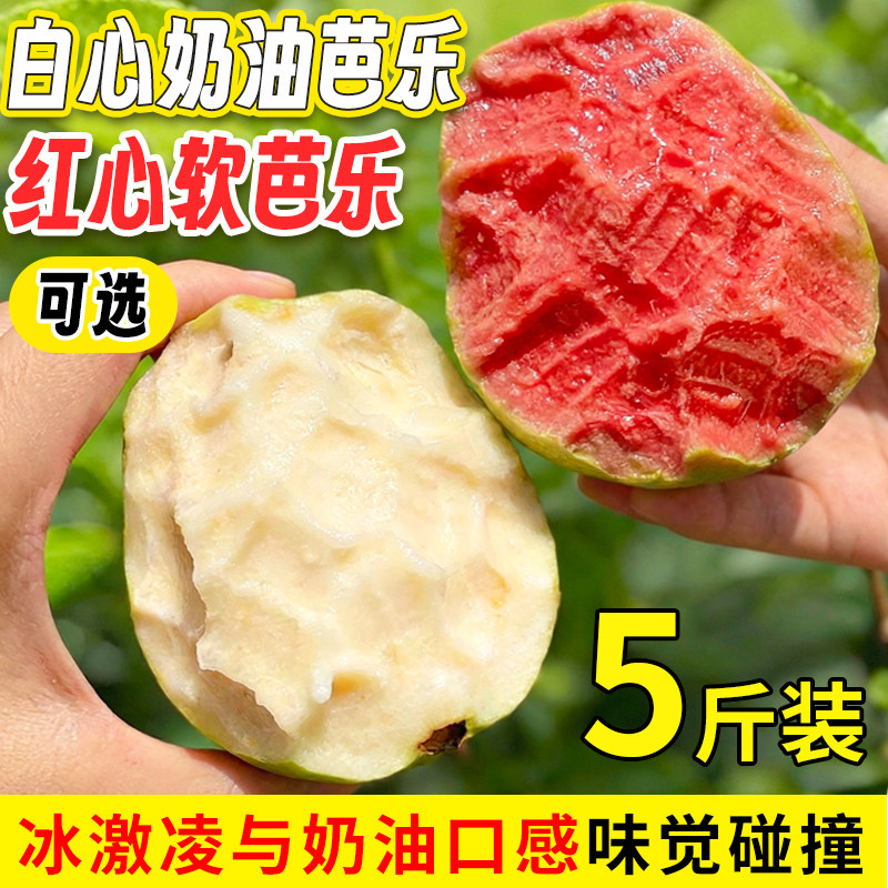 红白心双拼芭乐番石榴水果新鲜胭脂红5斤包邮奶油树熟大果孕妇