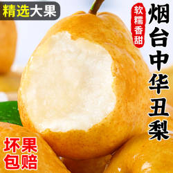 正宗烟台中华丑梨整箱软糯新鲜水果莱阳梨香甜山东太婆当季梨子