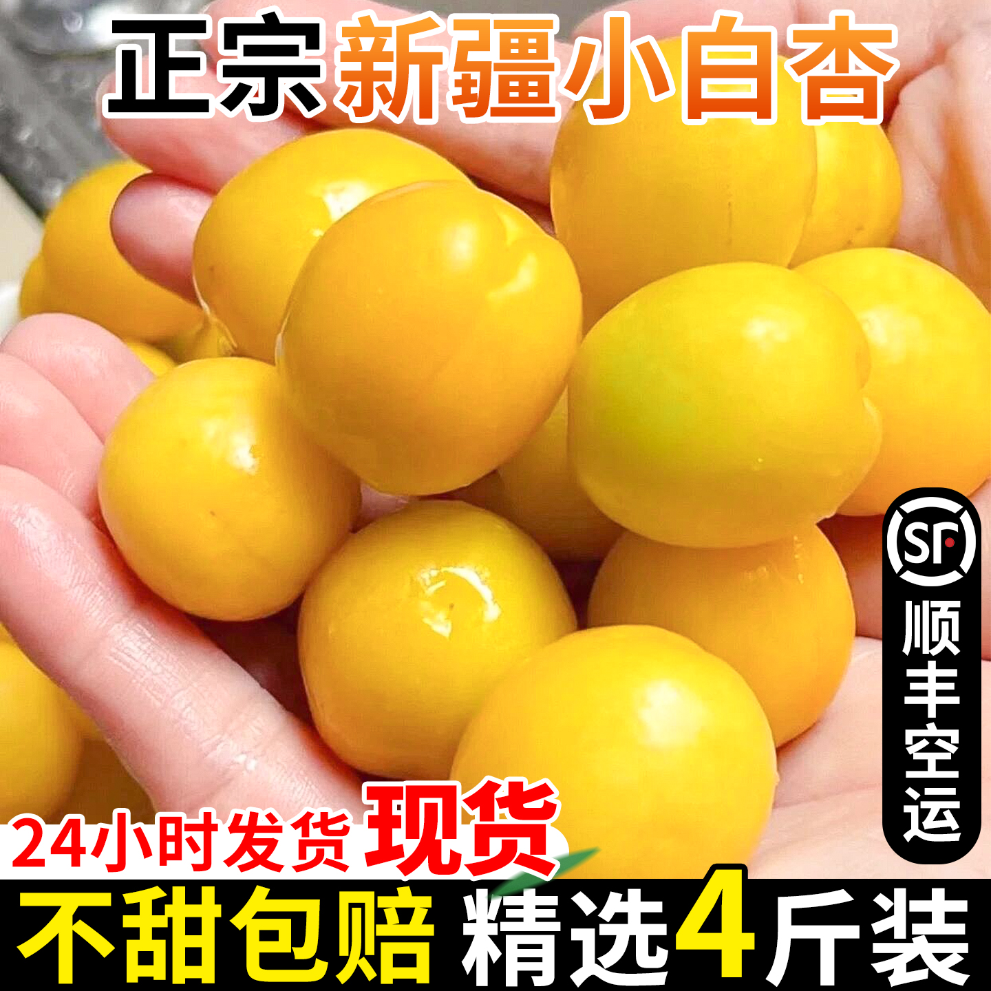 【现货顺丰空运】新疆小白杏轮台新鲜水果白杏子甜杏特产当季整箱