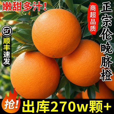 树上熟！正宗秭归脐橙！香甜多汁