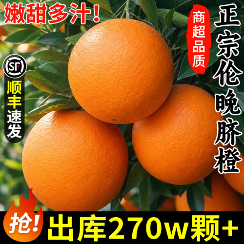 树上熟！正宗秭归脐橙！香甜多汁