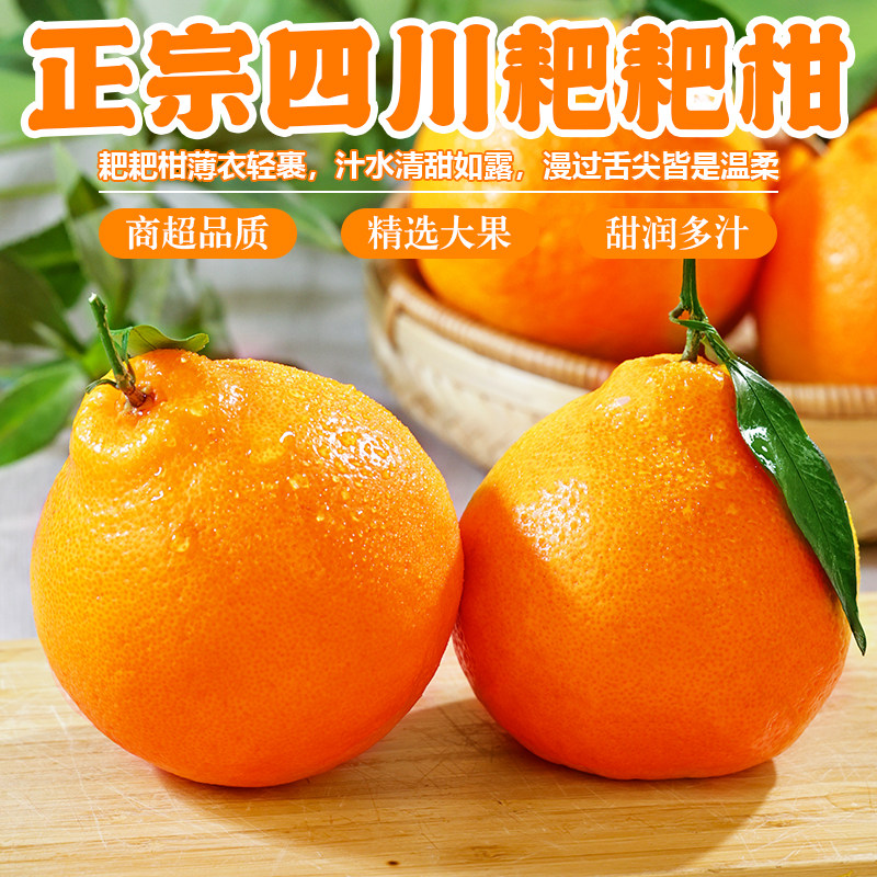 四川春见耙耙柑粑粑柑10斤新鲜水果橘子当季整箱杷杷柑丑桔子包邮,水产肉类/新鲜蔬果/熟食,桔子,淘宝优惠券,粉丝福利购,淘宝优惠卷
