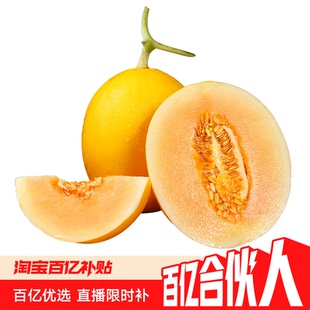 正宗民勤蜜瓜新鲜水果当季整箱原产地直红宝黄皮红肉香金红宝