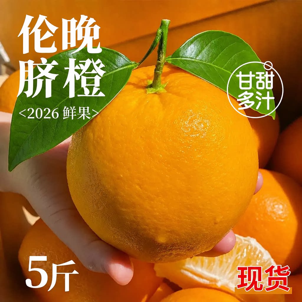 树上熟！正宗伦晚脐橙！香甜多汁