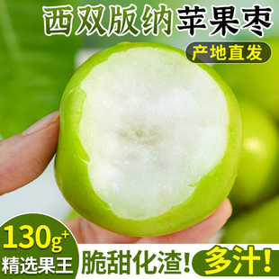 云南西双版纳苹果枣大果大青枣新鲜冬枣水果贵妃枣脆甜枣子特产