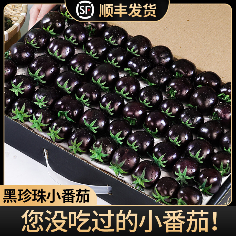 黑珍珠小番茄新鲜即食柿子圣女果紫黑色小番茄顺丰冷链包邮