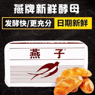 燕子牌鲜酵母500g 法国乐斯福 燕子酵母粉 天津 商用日期5.9