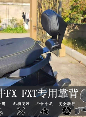 适用电动车小牛FX/FXT新款改装铝合金靠背无损直上后靠垫腰靠配件