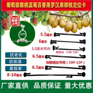 葡萄猕猴桃绑枝卡扣蓝莓葡萄树苗枝条固定塑料挂钩绑蔓绑枝卡农用