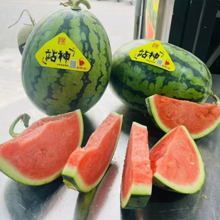甘美4K站神西瓜战神无籽西瓜当季新鲜水果皮薄脆甜多汁大西瓜包邮