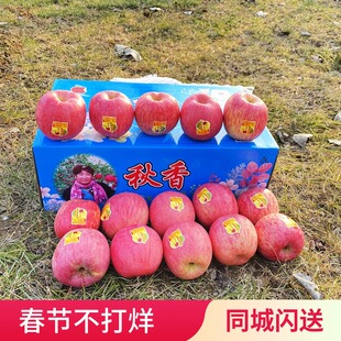 栖霞红富士苹果秋香苹果礼盒净果8斤15个装 时令水果山东大苹果