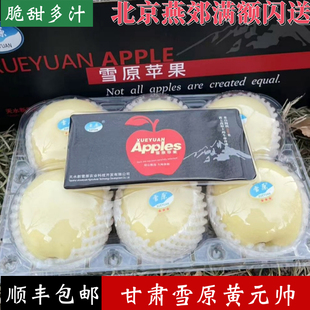 正宗甘肃雪原白果金帅苹果黄元帅特级苹果礼盒装酥甜多汁粉面顺丰