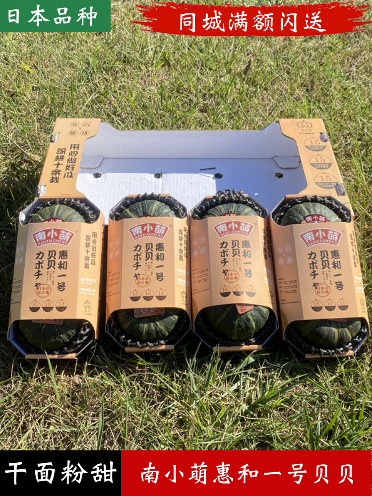南小萌日本品种惠和一号贝贝南瓜板栗南瓜甜墩墩礼盒装8个干面甜