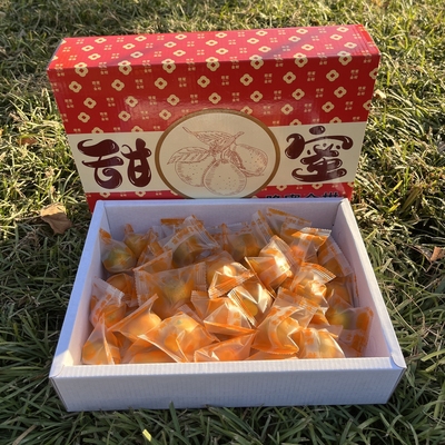 第三代广西融安金柑脆蜜金柑