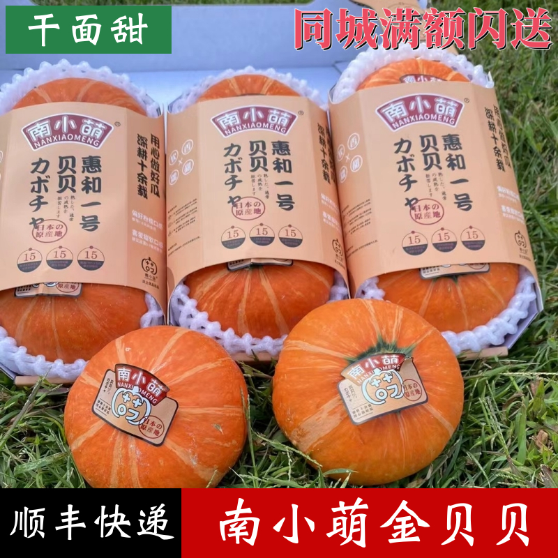 南小萌金贝贝惠和一号干面甜南瓜