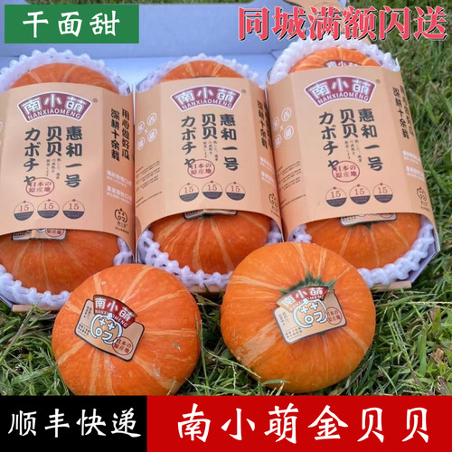 南小萌金贝贝惠和一号干面甜南瓜