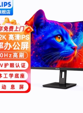 飞利浦27寸2K高清100Hz专业设计屏旋转升降护眼显示器27B1N5500B
