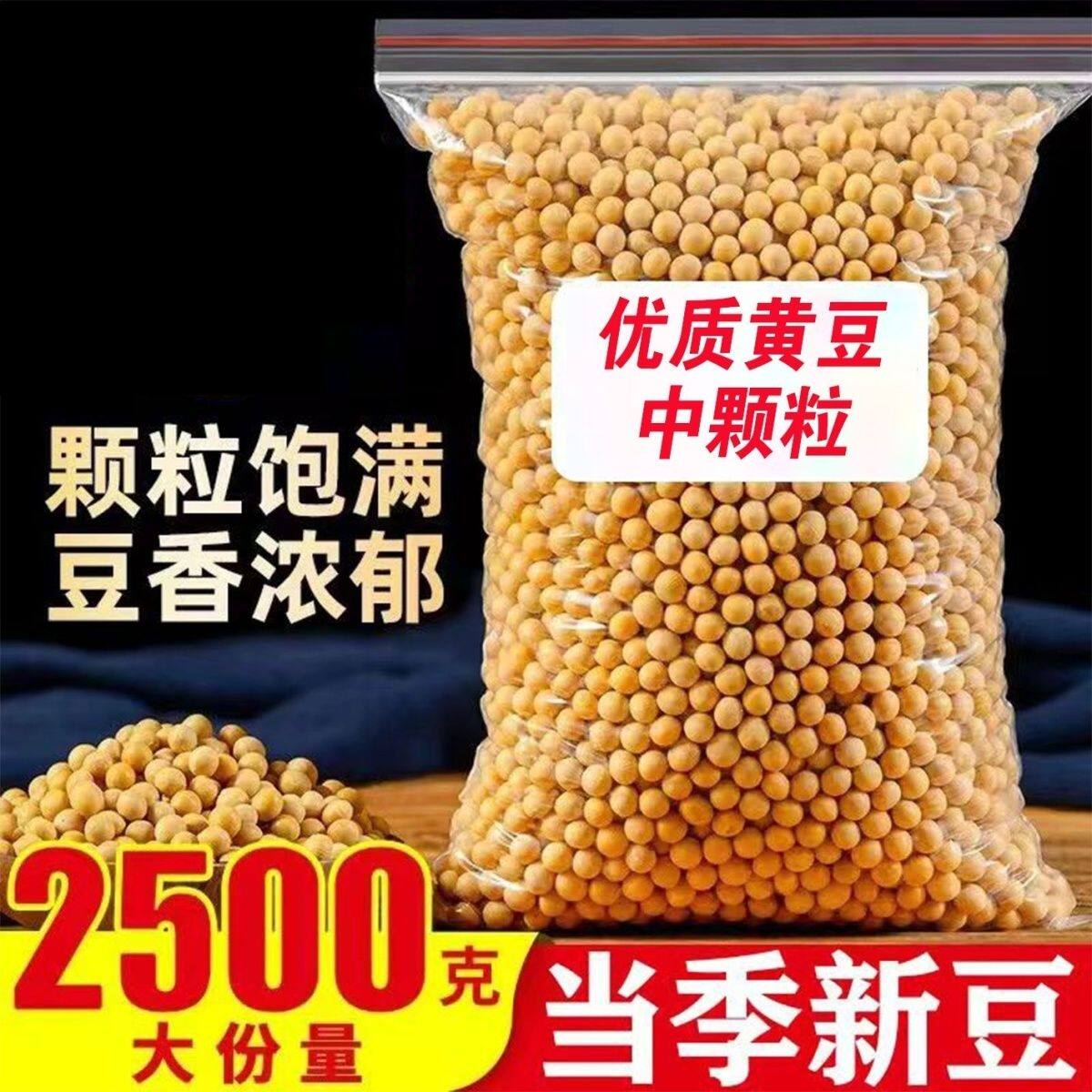 东北优质黄豆小颗粒土黄豆豆腐豆浆豆芽高蛋白专用黑龙江批发