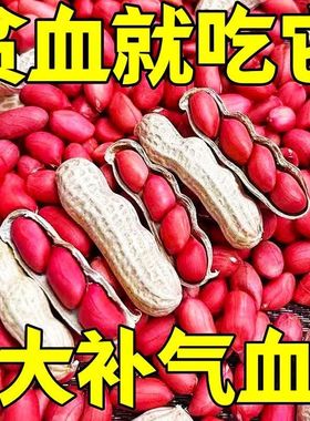 卜血红花生富含花青素高蛋白质滋补去壳新鲜杂粮煮粥小红皮花生米