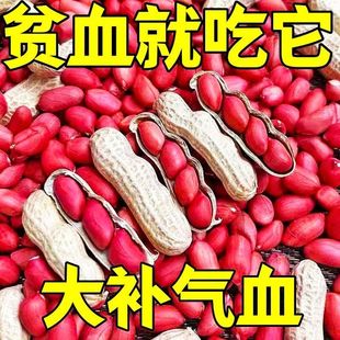 卜血红花生富含花青素高蛋白质滋补去壳新鲜杂粮煮粥小红皮花生米