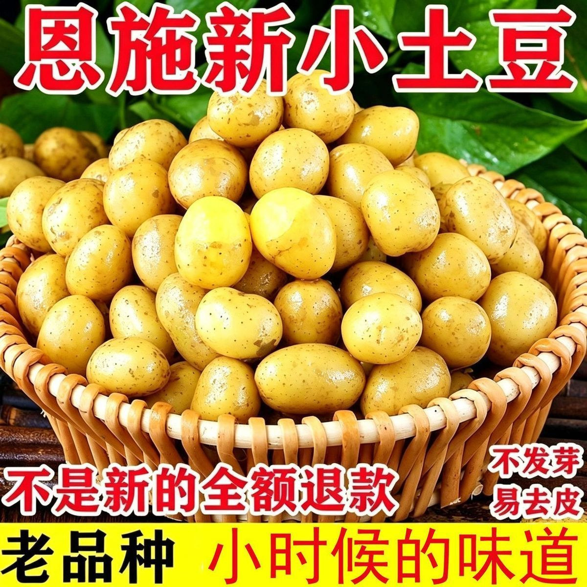 正宗恩施小土豆新鲜高山富硒珍珠特小黄心大土豆马铃薯洋芋蔬菜