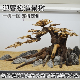 鱼缸造景莫斯树沉木骨架水草缸水草树迎客松水榕树装饰杜鹃成品景