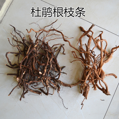 杜鹃根枝条造景沉木条水草缸