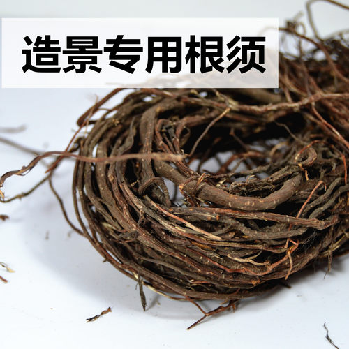 造景藤条根须清水造景