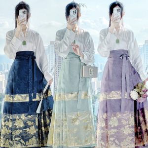 汉风唐韵原创汉服云中鹤春夏飞机袖新中式织金织银纯色马面裙套装