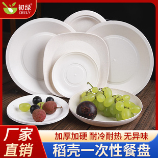 一次性盘子方盘加厚大碟食品级家用菜盘商用餐具野餐烧烤火锅菜盘