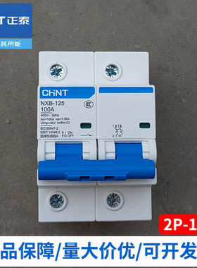 正泰2p100a空气开关两匹空开断路器大功率NXB-80A125A两项电220V