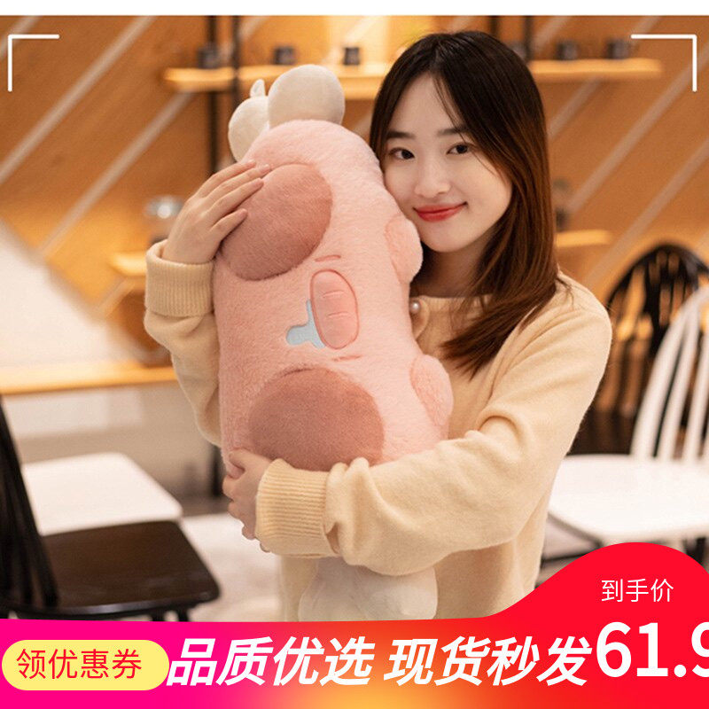 新款能量星球猪肉肉抱枕
