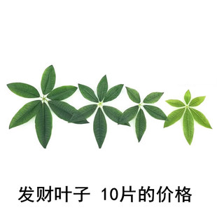 仿真叶子发财树枝单片树叶假叶子园林插花篮装饰隔断花盆摄影道具