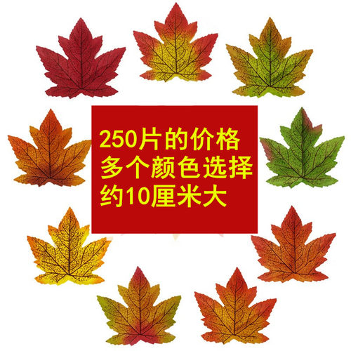 枫叶叶片10厘米250片的价格便宜