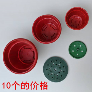 仿真花菊花一品红红掌花器塑料花盆可插菊花清明祭祀可用园艺插花