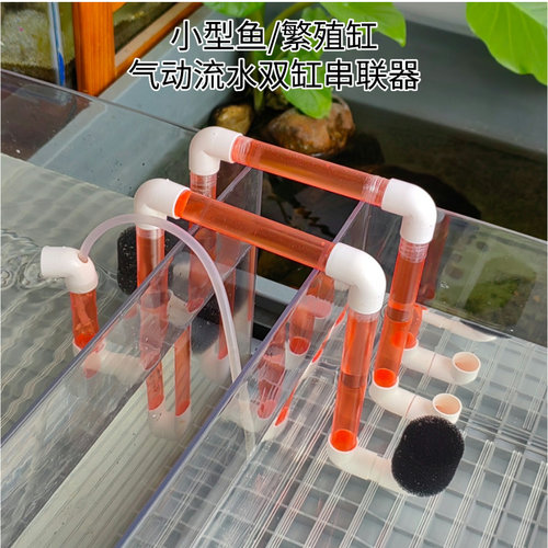 鱼缸串联繁殖缸育苗循环过滤增氧