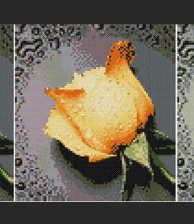 DMC绣线小小鱼B021 花卉滴水玫瑰欧式浪漫精准印花十字绣套件