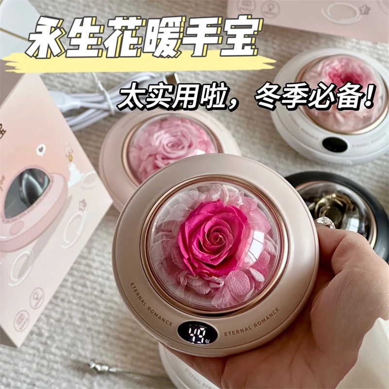 暖手宝充电宝永生花三合一送女生朋友生日新年礼物热水袋随身携带