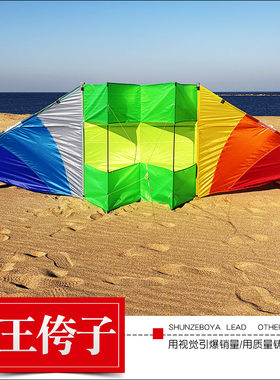 珍藏版王侉子新七彩滑翔机