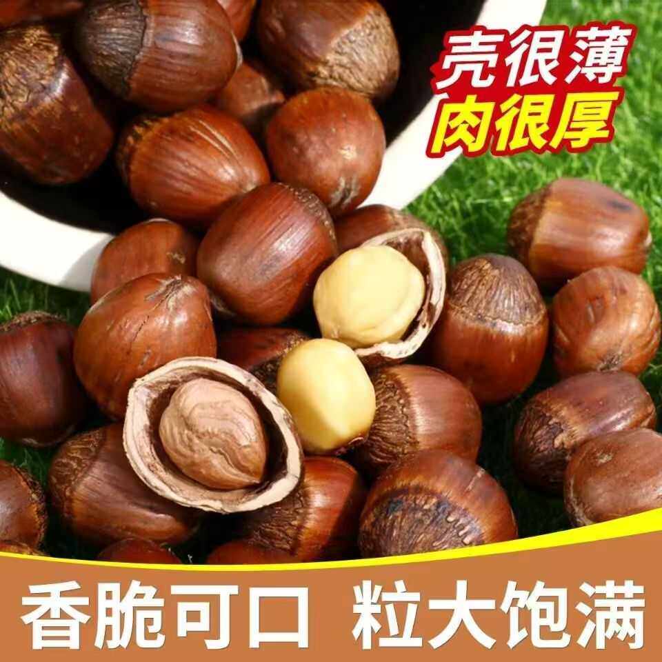 长白山特产大榛子东北坚果年货榛子现炒现发嘎嘎香当年新货