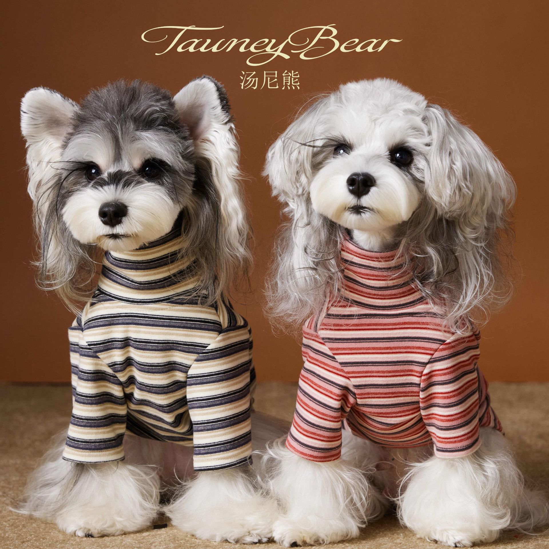 汤尼熊亲肤贴身打底衫雪纳瑞比熊