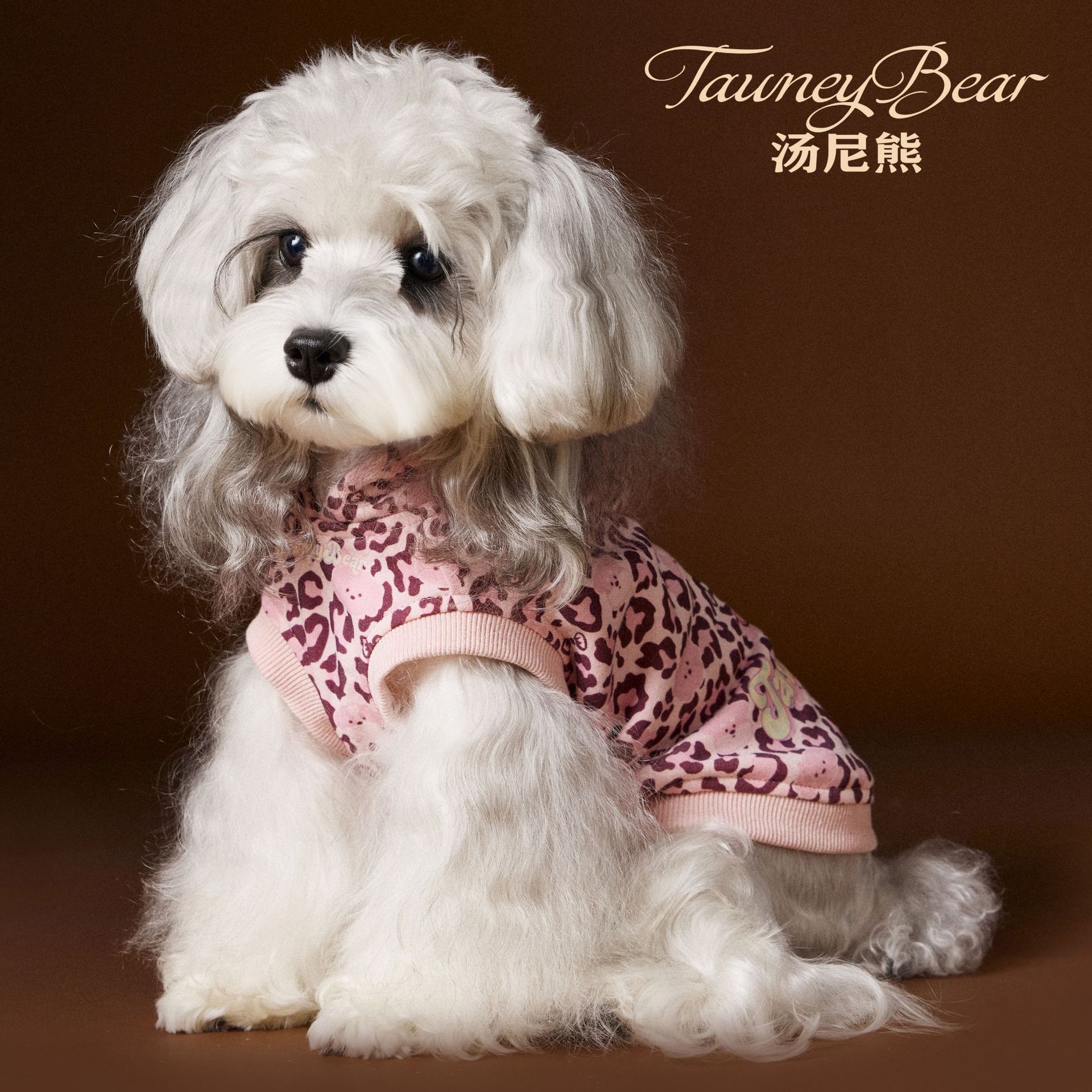 汤尼熊帅气豹纹连帽无袖卫衣比熊