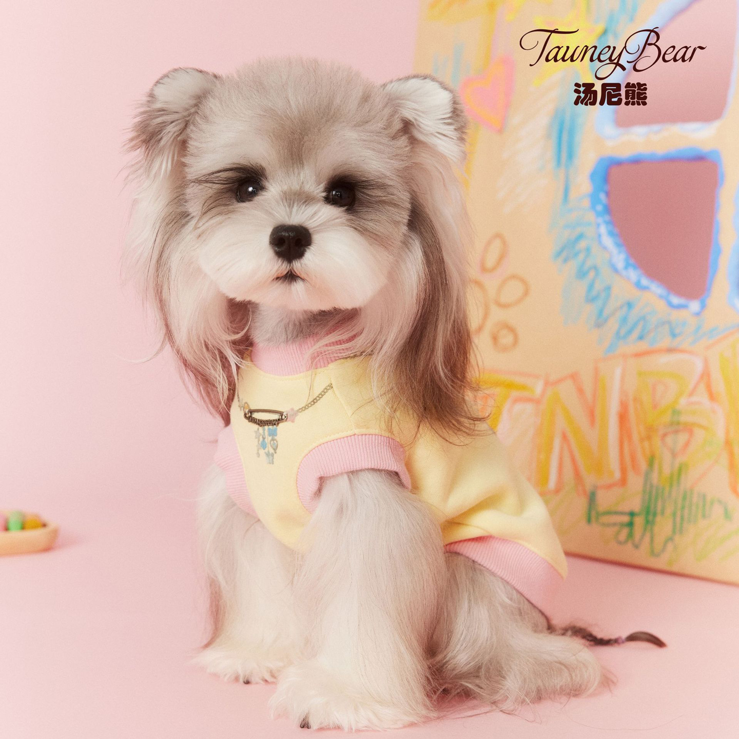 汤尼熊秋冬款狗狗衣服雪纳瑞比熊